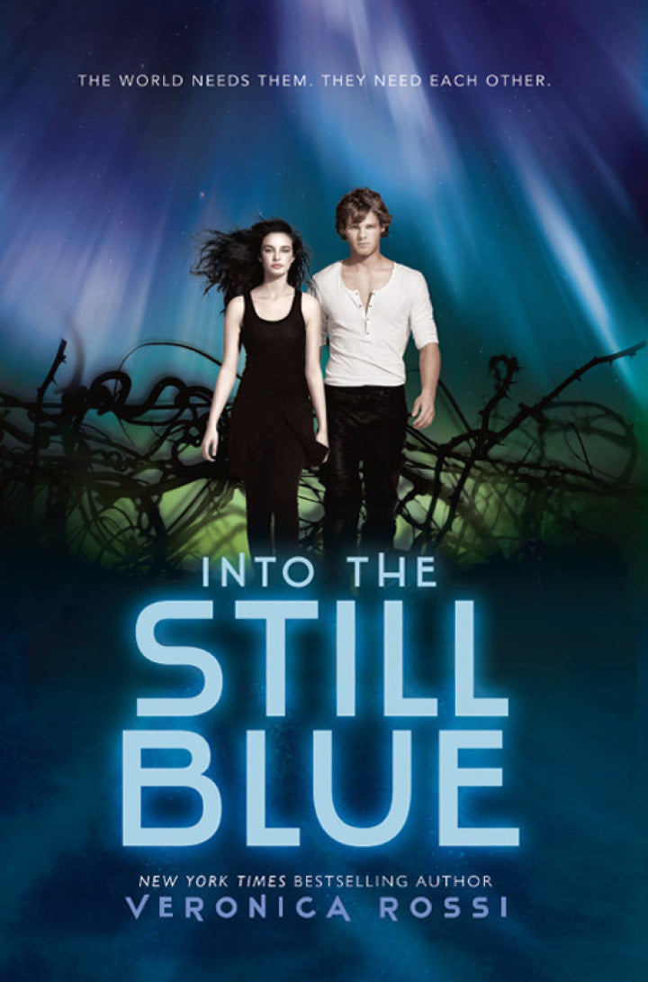 Electronic book PDF   Into the Still Blue