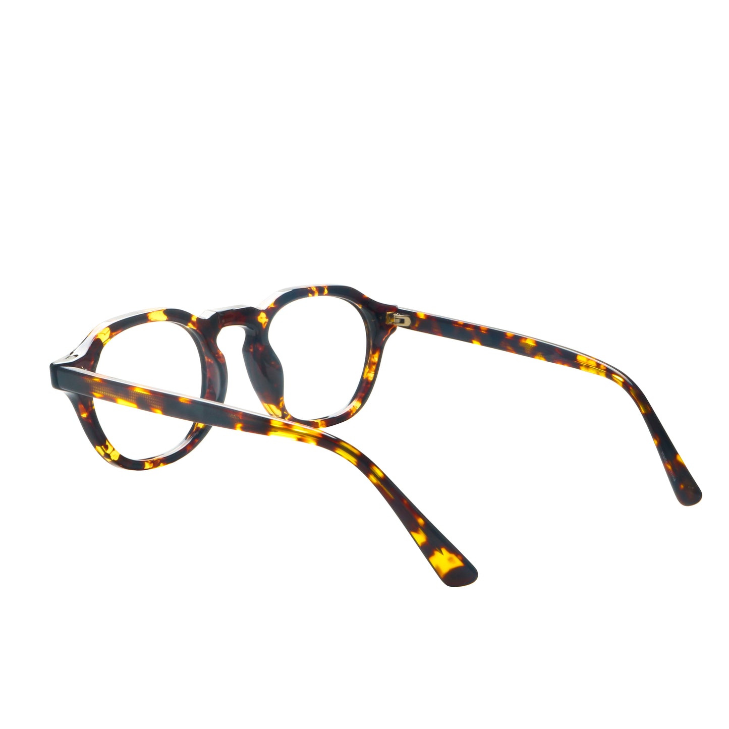 Roger Acetate Round Eyeglasses