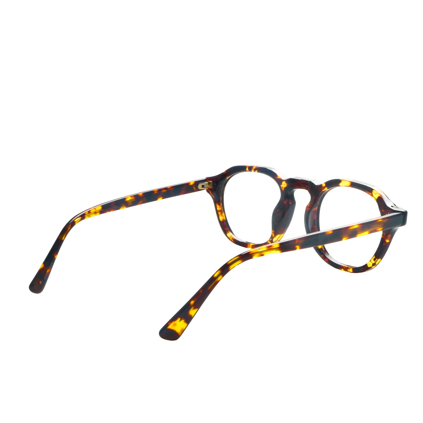 Roger Acetate Round Eyeglasses