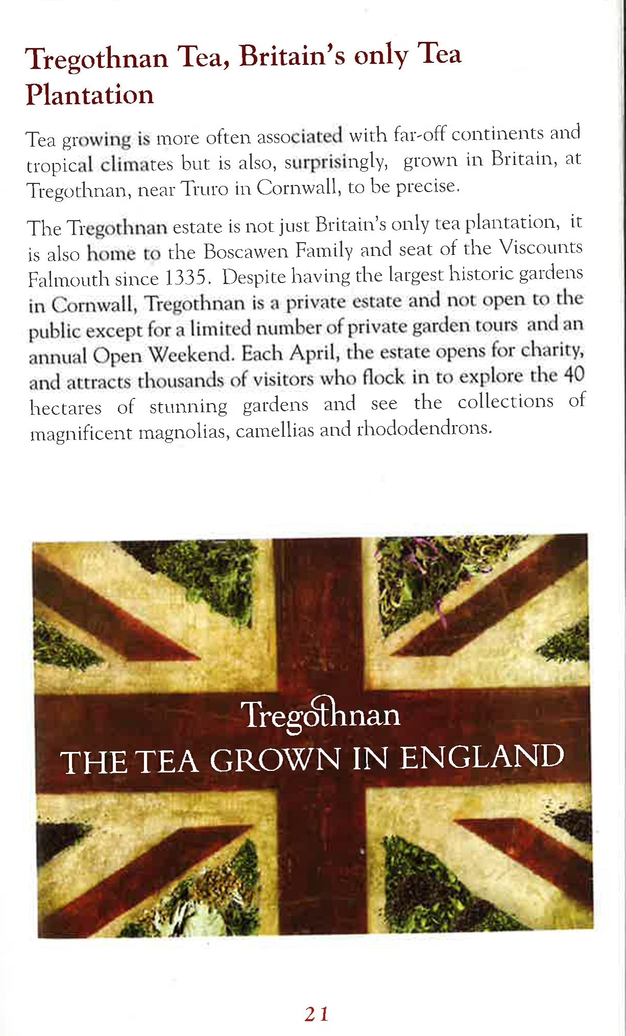 The Great Book Of Tea