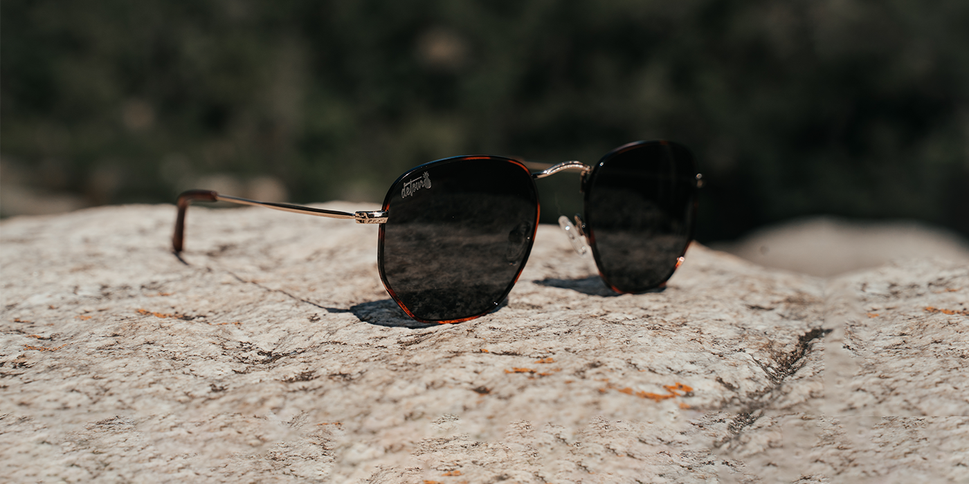 Tortoise Shell - Jet Black Polarized - Bermuda